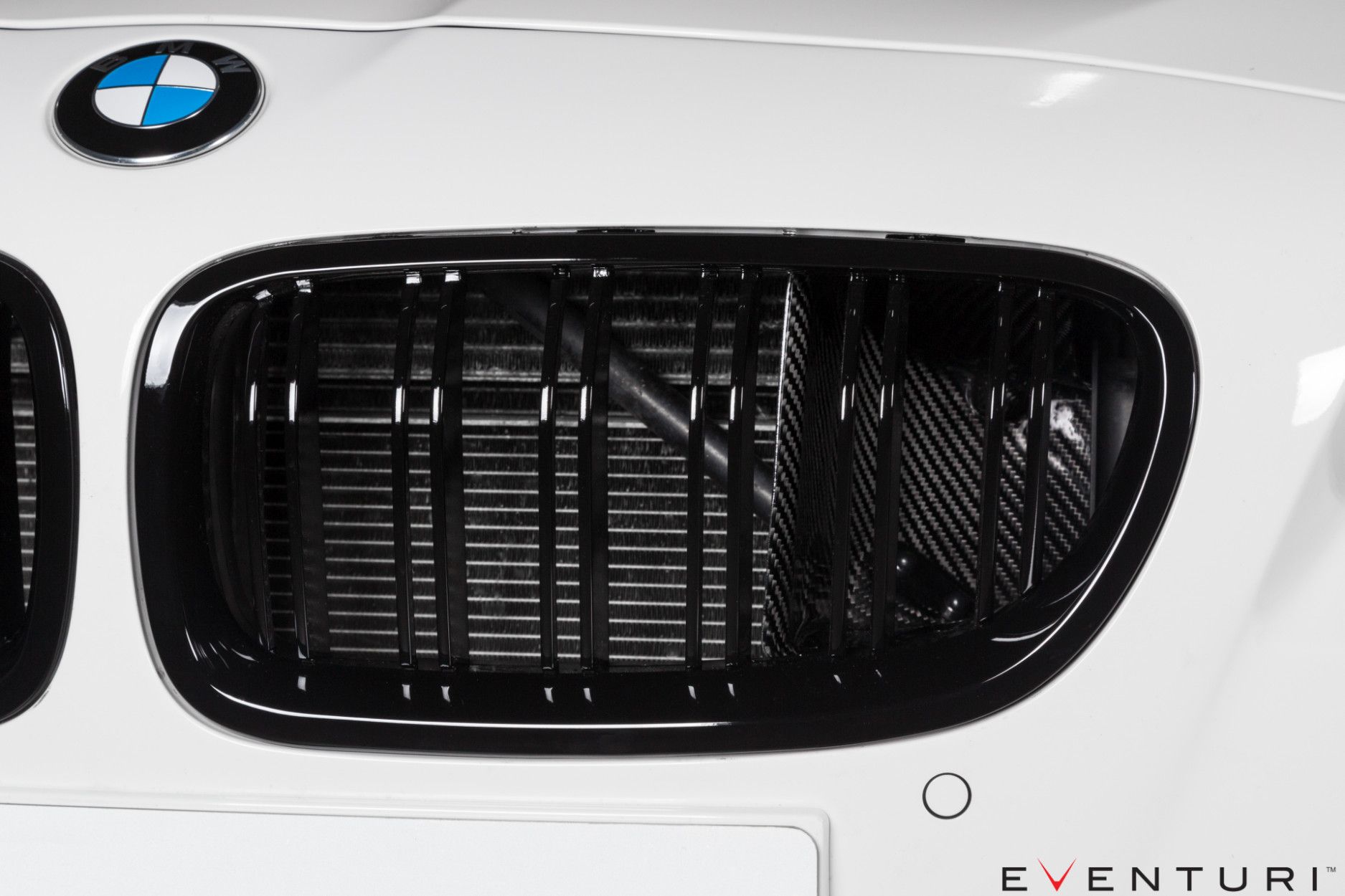 Eventuri Carbon Ansaugsystem für BMW F10 M5 (10) 