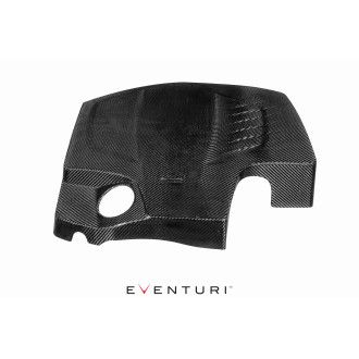 Eventuri Carbon Motorabdeckung für BMW F87 M2