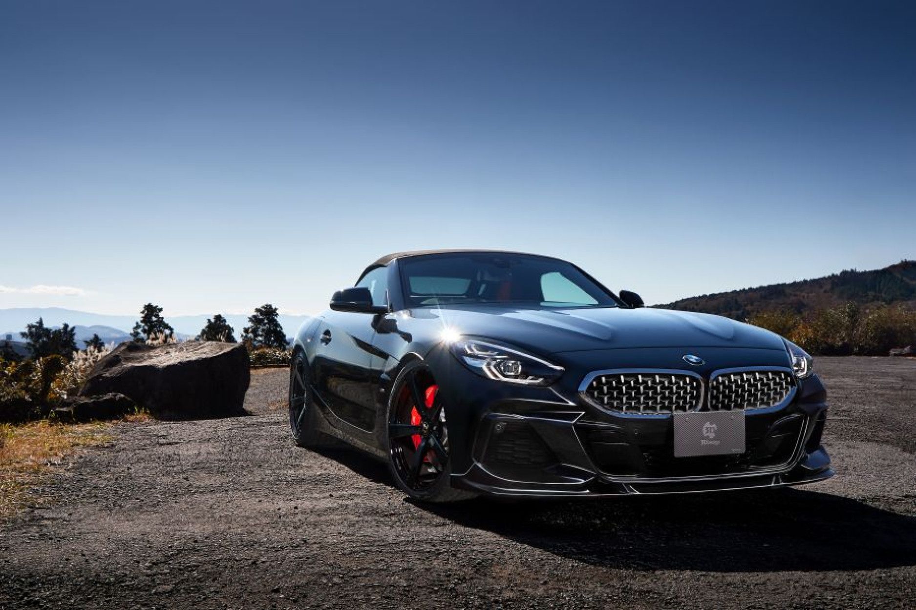 3DDesign PUR frontlip fitting for BMW G29 Z4 M40i