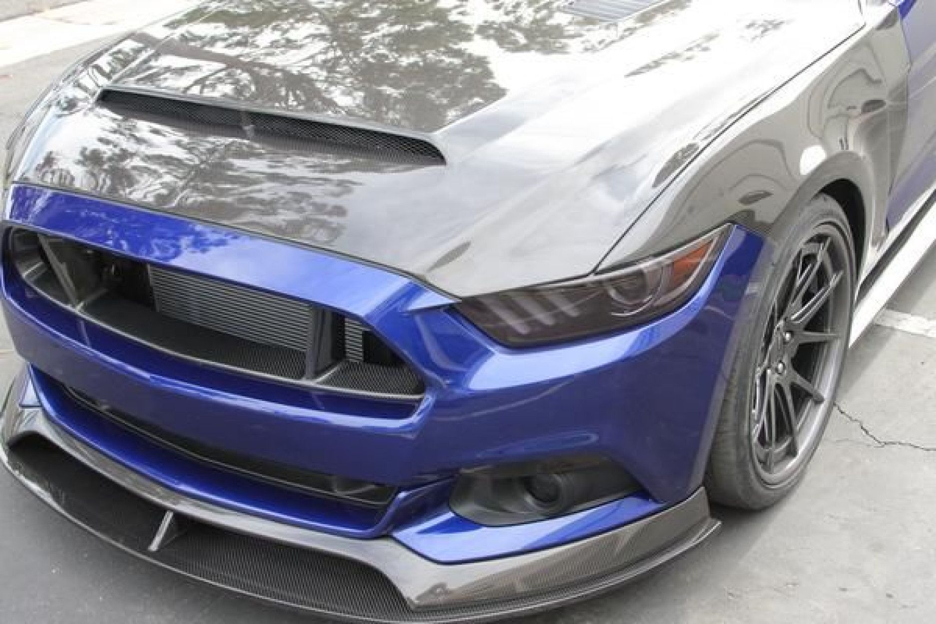 Anderson Composites Carbon Motorhaube doppelseitig für Ford Mustang 2015-2017 SUPER SNAKE (7) 