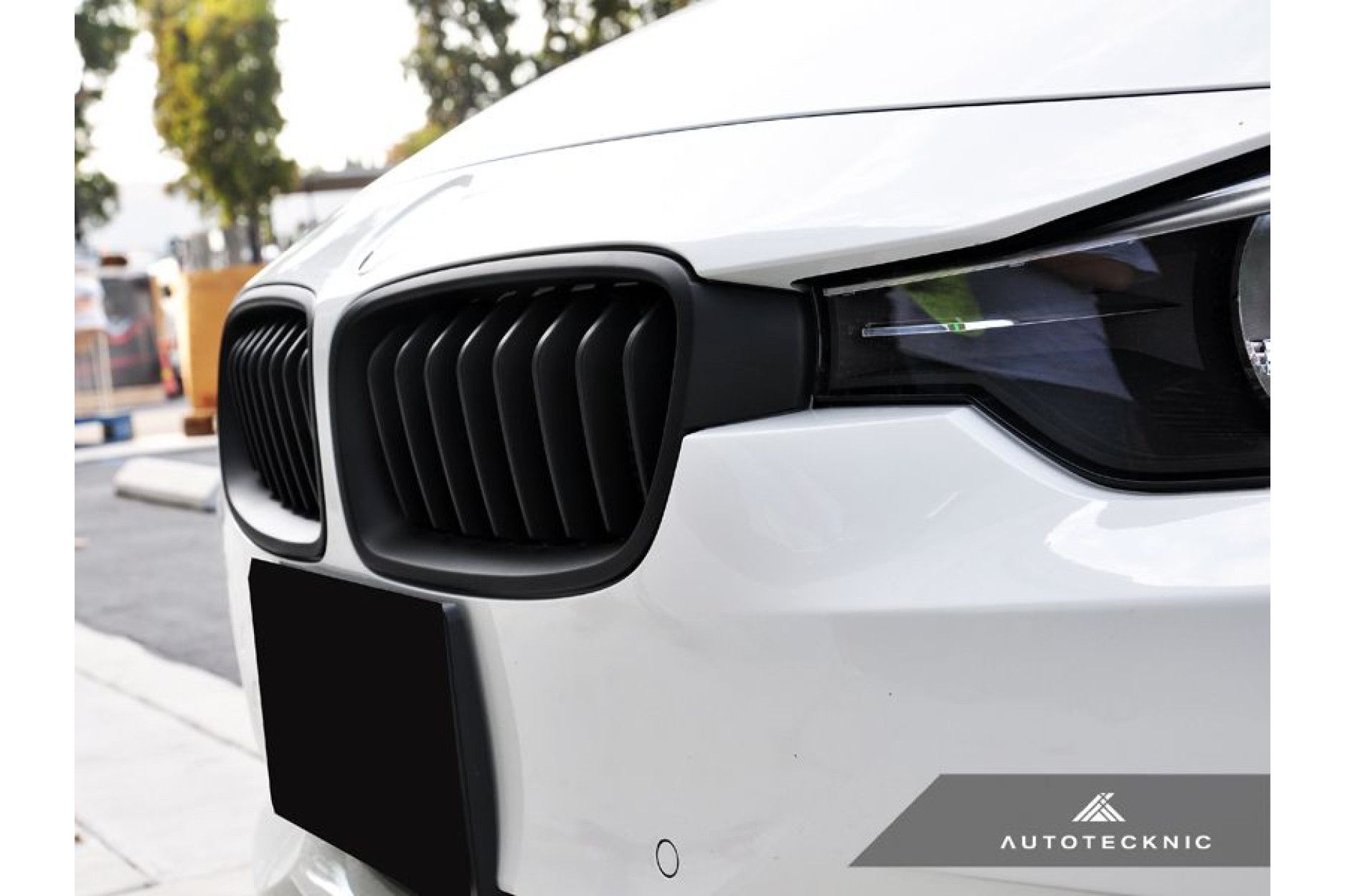 AutoTecknic Carbon Fiber Front Grille - F30 (3) 