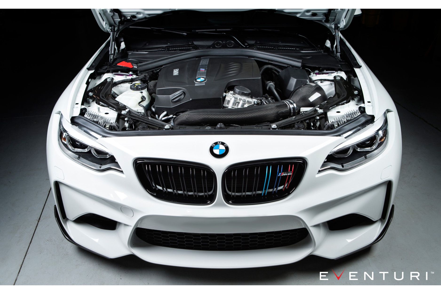Eventuri carbon intake system for BMW Z4M (4) 