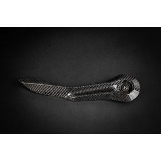 Capristo carbon cap for Ferrari 458 Italia Spider Speciale