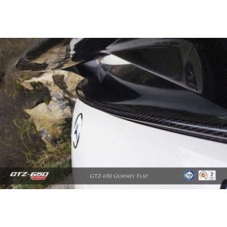 RevoZport Carbon spoiler for Mercedes Benz R190 GT-S GTZ-650