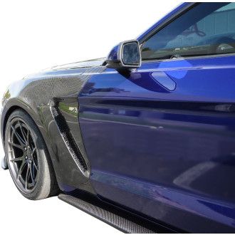 Anderson Composites Carbon fenders for Ford Mustang V6, EcoBoost, GT - GT350-Style