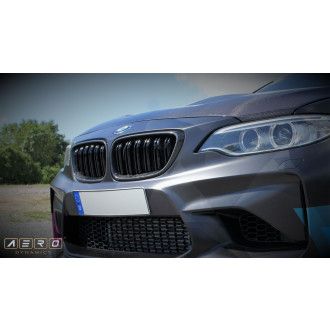 AERO Dynamics radiator grille for BMW 2 series F87 M2