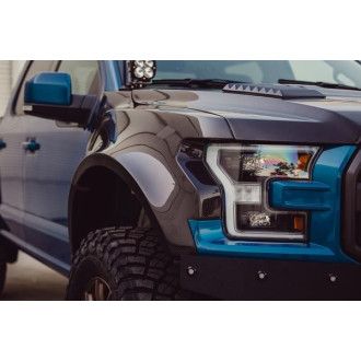 Anderson Composites Carbon Kotflügel Widebody für Ford F150 Raptor 2017-2018