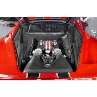 Capristo carbon engine cover for Ferrari 458 Speciale Italia