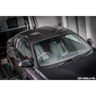 Edison carbon roof for BMW F22 F87 M2 - Köper - with clear coating