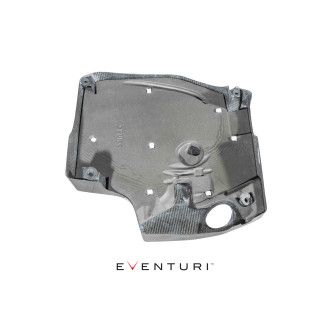Eventuri carbon engine cover for BMW N55 Motor